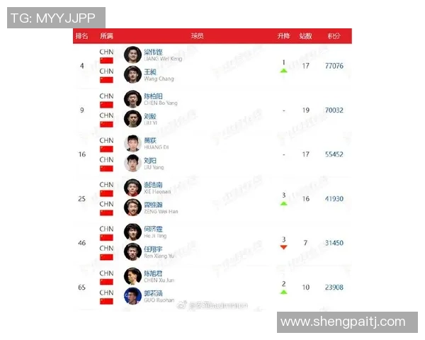 广州羽毛球队在全国羽毛球团队协作排行榜中荣获第九名的佳绩分析