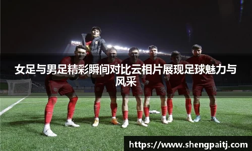 乐彩汇平台