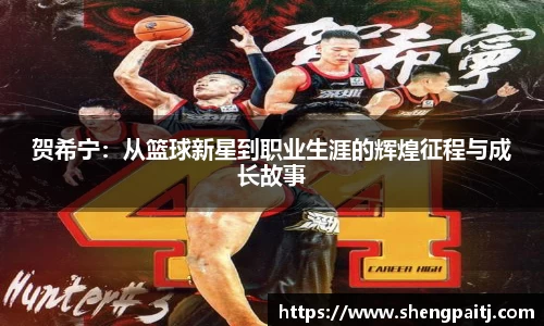 乐彩汇