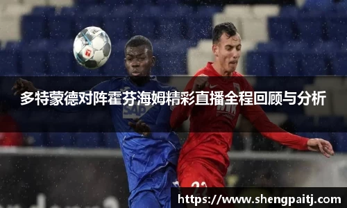 多特蒙德对阵霍芬海姆精彩直播全程回顾与分析