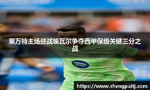 乐彩汇