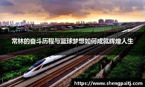 乐彩汇官方网站