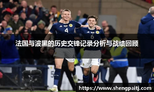 法国与波黑的历史交锋记录分析与战绩回顾